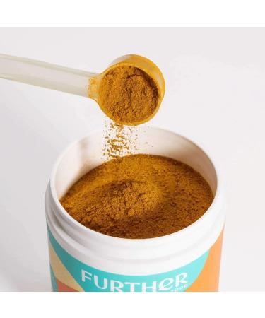 Further Food Superfood Turmeric 2.12 oz - Organic Anti-Inflammatory Supplement - Buy Online on GoSupps.com