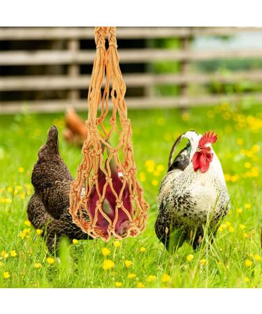 SEWOART 3pcs String Parrot Hooks Poultry Feeder Bags Hanging Feeder for Hens Net Bag Mesh Chicken Feed - Buy Online on GoSupps.com