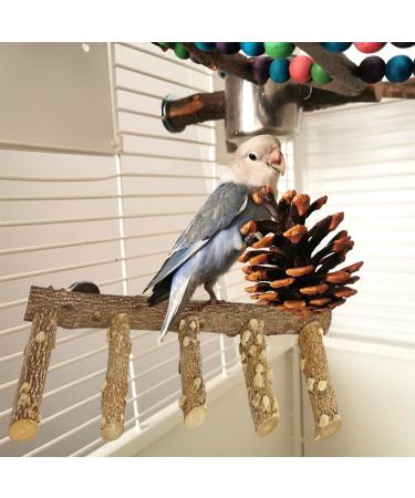 Qeeheng Bird Stand & Natural Wood Seat Rods - Ideal Toys & Accessories for Small to Medium Parrots Budgies Lovebirds & Aras - Buy Online on GoSupps.com