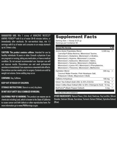 Amino Punch - 30 Servings Green Apple Flavor | Caffeine & Amino Acids Blend | Energy & Recovery | Made in USA - Shop Internationally - Buy Online on GoSupps.com