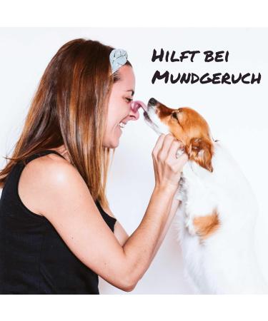 Sollis Dental Powder for Dogs | Natural Dental Care & Fresh Breath | Tartar & Bad Breath Control | 500g Dog Tooth Powder for Healthy Oral Flora - Buy Online on GoSupps.com