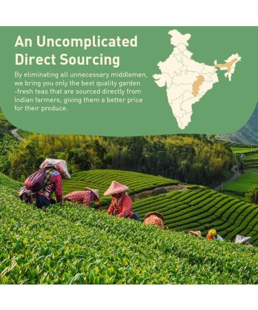 Organic Green Tea Bags - 100 Count | Gluten Free & 100% Pure | Round Bags, No Adhesive or Bleach | Hot/Cold Brew Tea | 1 Pack - Buy Online on GoSupps.com