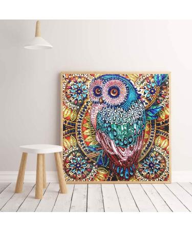 Hibah 5D Owl Partial Diamond Painting Set - Mandala Design | Special Shape Rhinestone DIY Kit - Buy Online on GoSupps.com