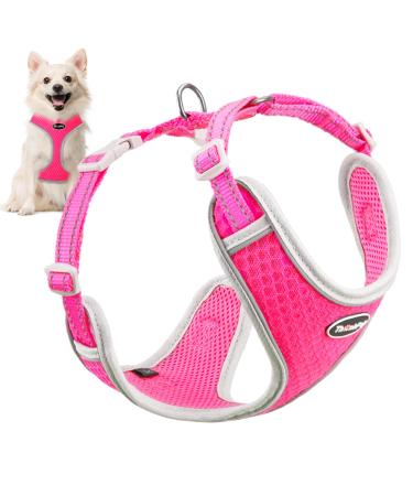 Thinkpet no-pull dog harness leash set breathable chest harness for small medium large dogs adjustable soft running harness safe control padded reflective safety harness m (1 Pack) rose - Buy Online on GoSupps.com