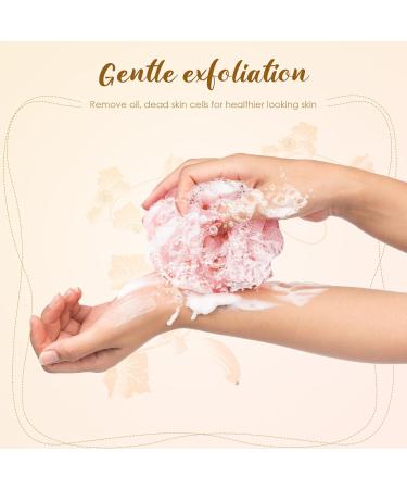 LMSMW Bath Body Poufs 4 Pack - Exfoliating Luffa Sponges for Men Women Shower Mesh Pouf Loofah Sponge Bath Puffs Scrunchie Body Scrubbers Bathing Cleaning Loofahs Lufa Lofa Loffa Pad 1 count (Pack of 4) - Buy Online on GoSupps.com