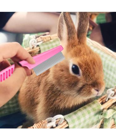 Dxary Rabbit Brush Set - Pet Comb Nail Clippers & Massage Glove for Rabbits Hamsters & Guinea Pigs (Pink) - International Shipping - Buy Online on GoSupps.com