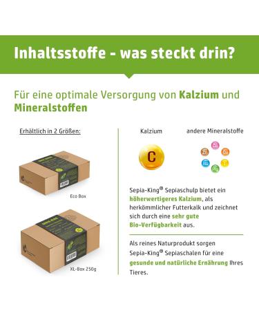 Sepia King Sepiaschellen - Premium Calcium & Vitamin Supply for Reptiles Turtles Bearded Dragons & Birds - 12 High-Quality Shells for Terrariums - Buy Online on GoSupps.com