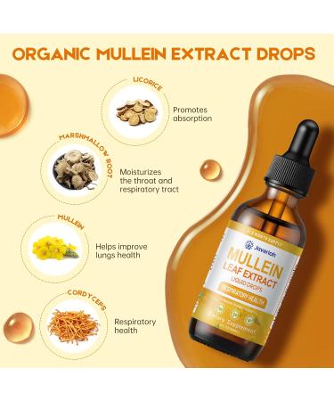 Javeriah Mullein Drops for Lungs Cleanse - Cordyceps, Marshmallow Root & Licorice Root Extract, Respiratory Herbal Supplement with Mullein Leaf Extract for Immune Support & Bronchial Cleanse, 2 Fl Oz - Buy Online on GoSupps.com