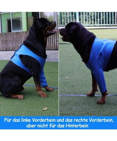 Gtobes Dogs Recovery Suit - Cone Collar Alternative | Abrasion-Resistant Pet Wound Protection | Washable Waterproof Blue XXL - Buy Online on GoSupps.com