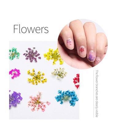 3 Boxes Nail Art Mixed Dried Flowers Kit - 3D Daisy & Gypsophila for Manicure Decoration - Includes Tweezers - Buy Online on GoSupps.com