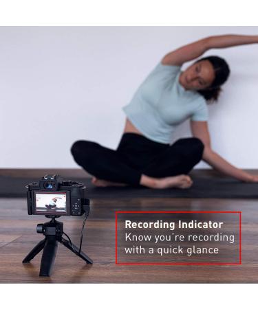 Panasonic LUMIX G100 4K Mirrorless Camera with Built-in Microphone, 12-32mm Lens, Micro Four Thirds System - Black - Buy Online on GoSupps.com