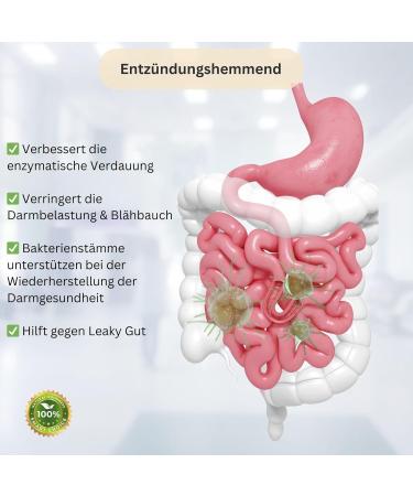 Buy Rosental Organics Vegan Pre & Probiotic Capsules - 60 Capsules for Bloating Relief - Made in Germany - International Shipping - Buy Online on GoSupps.com