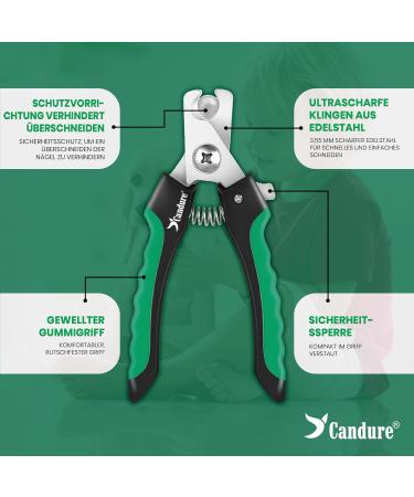Candure Professional Claw Scissors for Dogs & Cats - High-Quality Stainless Steel Nail Clippers with Safety Protection & Nail Files - Small (S) Green - Buy Online on GoSupps.com