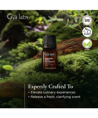 Gya Labs Digestion Relief Essential Oil Blend 100% Pure Natural Fresh & Herbaceous Scent - 0.34 Fl Oz - Buy Online on GoSupps.com