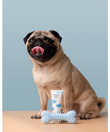Botanica Nutrients sl Toothpaste Fresh 75 ml Toothpaste for dogs and cats Finger brush included - Buy Online on GoSupps.com