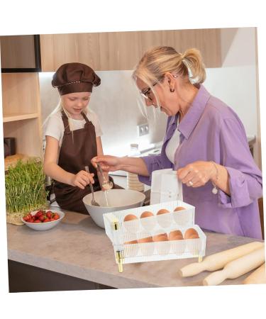 Housoutil Box Plastic Pallet Egg Holder Egg Trays for Deviled Eggs Egg Rack Crisper The Pet Gilded re-usable Transparent 26.5X16X10CM - Buy Online on GoSupps.com