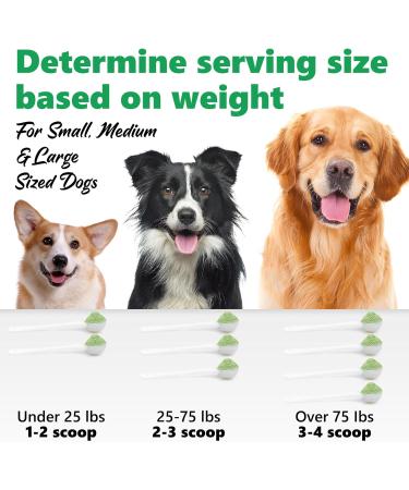 IDUCEN Dental Health Powder for Cats and Dogs Solution Against Tartar & Plaque Pet Breath Freshener Oral Care & Dental Cleaning Get Plaque Off Dogs Teeth Naturally Pet Dental Health Powder - Buy Online on GoSupps.com