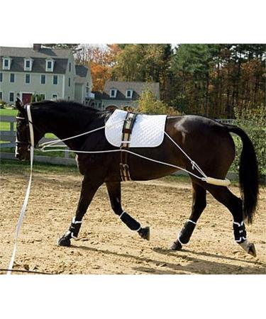 Hunters Saddlery Ultimate Horse Lunging Training Aid System - Black 03 Cob/Horse Size - Buy Online on GoSupps.com