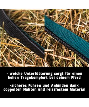 Halter for Horses with Rope | Premium Knitting Horse Halter for Pony Thoroughbred & Full Sizes (Green COB X-Full) - Buy Online on GoSupps.com