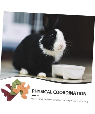 BUGUUYO Rabbit Snacks Guinea Pig Treats Rabbit Treats for Bunnies Bunny Cage Accessories Fiber - Buy Online on GoSupps.com