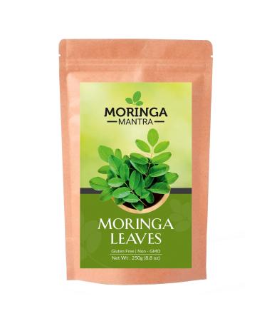 Moringa Mantra Moringa Herbal Tea Perfect in Salads Soups Drumstick or Ben Tree Leaves 250 grams 250 g (Pack of 1) - Buy Online on GoSupps.com
