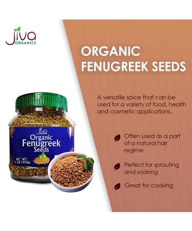 Jiva Organics Organic Fenugreek Seeds - 1 lb Jar for Cooking, Sprouting & Beauty Care - Buy Online on GoSupps.com