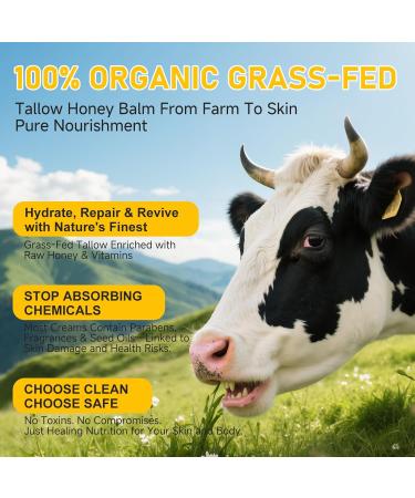 Beef Tallow for Skin,Body,Tallow Face Moisturizer for Eczema,Lip Balm,Whipped tallow honey balm,Organic Grass-Fed,All Natural Body Lotion for Women & Men,Tallow Cream Skincare,Unscented 4.2 OZ 4.23 Ounce (Pack of 1) - Buy Online on GoSupps.com