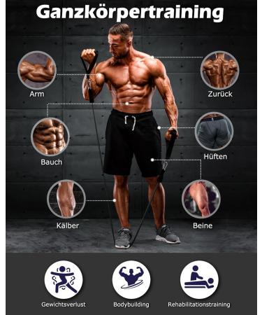 Zacro Resistance Bands Set | 6 Fitness Straps with Handles & Ankle Strap - Strength Training for Men & Women (10-90lbs) | International Shipping - Buy Online on GoSupps.com