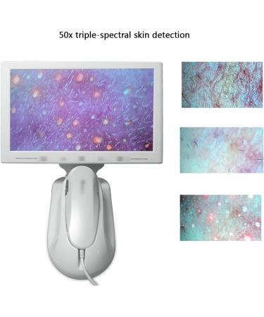 Skin Diagnosis Hair Analyzer 11 Inch LCD Screen Scalp Hair Follicle Detector 200X/50X Double Magnifying Lens for Skin Detector Moisture Tester Hair Skin Analyzer Machin - Buy Online on GoSupps.com