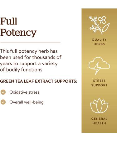 Solgar Green Tea Extract 60 Veg Capsules - Premium Antioxidant Supplement - Buy Online on GoSupps.com