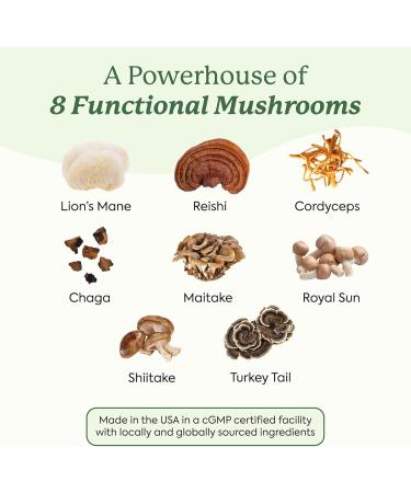 Plant People - WonderDay Mushroom Gummies Mini | Daily Gummy Multi Support for Whole Body Balance, Mood, De-Stress, Energy, Immune and Gut Health | Natural, Vegan, Non-GMO | Trial Size - Buy Online on GoSupps.com