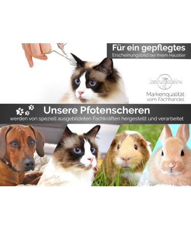 Paw Scissors: 9 cm Small Fur & Dog Hair Scissors for Precise Grooming - Perfect for Pet Owners - Buy Online on GoSupps.com