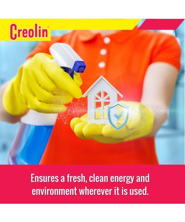 Multi Purpose Cleaner Concentrate - Deodorant & All Purpose Household Cleaner (3 Fl Oz Pack of 2) - Ideal for Home Kennel & Industrial Use - Buy Online on GoSupps.com
