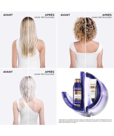 Dessange - Nutri-Corrective Blue Shampoo - For Colored or Bleached Blonde Hair - Californian Blonde - 250 ml - Pack of 3 - Buy Online on GoSupps.com