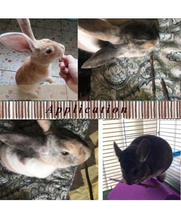 Natural Apple Sticks for Small Animals - 250g and 500g Chew Toys and Treats for Chinchilla, Guinea Pig, Hamster, Rabbit, Gerbil, Parrot, and Bunny - Buy Online on GoSupps.com