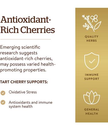 Solgar Tart Cherry Extract 1000 mg - 90 Vegetable Capsules | Premium Natural Supplement - Buy Online on GoSupps.com
