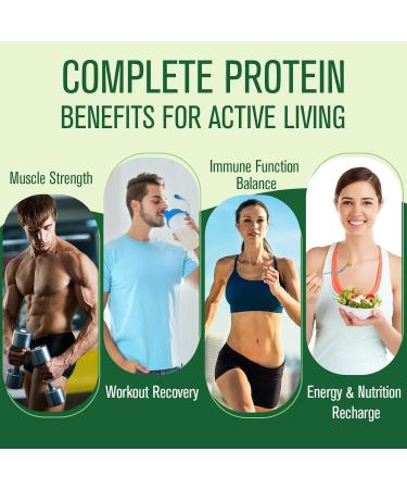 30g Plant-Based Protein Powder 5-in-1 Vegan Protein Powder Vanilla 0g Sugar with 20 Billion CFU Probiotics BCAA Vitamins and Minerals Digestive Support Keto-Friendly Low Carb 20 Servings 1.76 Pound (Pack of 1) - Buy Online on GoSupps.com