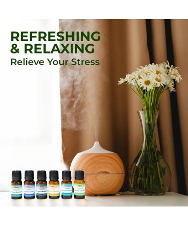 Thien An Essential Oils Set - 6 Premium 10ml Aromatherapy Oils: Rosemary Camphor Lemongrass Peppermint Holy Basil Eucalyptus with Dropper Caps for Relaxation & Meditation - Buy Online on GoSupps.com