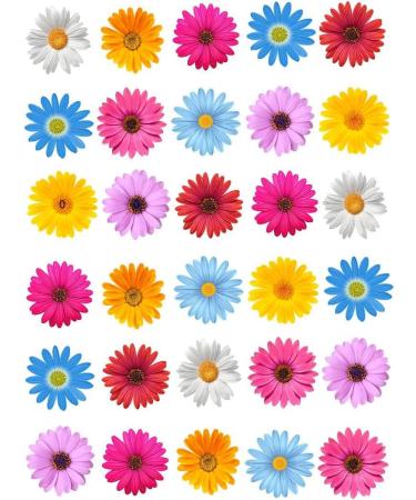 30 x Edible Flowers Daisy Rice Fairy Paper Cake Cupcake Toppers Edible Decoration Daisies - Buy Online on GoSupps.com