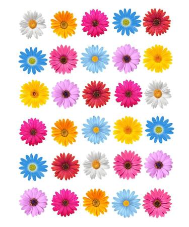 30 x Edible Flowers Daisy Rice Fairy Paper Cake Cupcake Toppers Edible Decoration Daisies - Buy Online on GoSupps.com