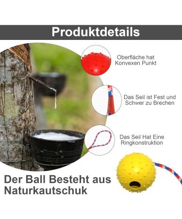 Wurfball Dog Toy - 4-Piece Natural Rubber Ball Set with Rope | Soft & Elastic Balls for Large & Small Dogs - Random Colors - Buy Online on GoSupps.com