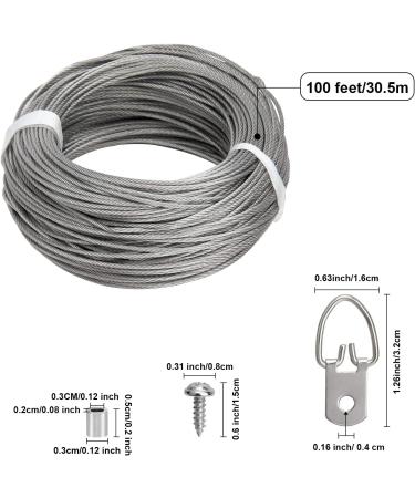 Picture Hanging Kit - 100 Feet Stainless Steel Hanging Wire  60 Pcs D Ring Picture Hangers with Screws and 60 Pcs Aluminum Crimping Loop Sleeve for Hanging Paintings Photos - Buy Online on GoSupps.com