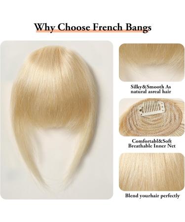 Bangs Hair Clip Clip In Bangs 100% Human Hair Extensions Blonde Bangs French Thick Bangs Clip On Bangs Hair Hairpieces for Women Daily Easy Wear Bangs Clip in Hair(Color:HLH1005-5) Blunt Bangs HLH1005-5 - Buy Online on GoSupps.com