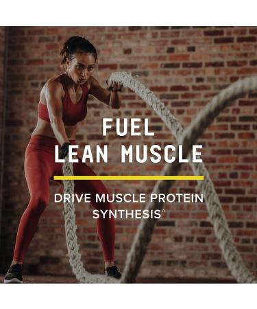 BEYOND RAW Science-Backed Creatine HCl Powder Lab Grade for Muscle Strength and Growth Energy Production Athletic Performance Cognitive Support Cellular Hydration 120 Servings - Buy Online on GoSupps.com