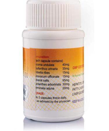 Liver Support Capsules | Ayurvedic Liver Suppot Detox & Rejuvenation Supplement | 100 Capsules | Natural Herbal Care | Pack of 12 100 Count (Pack of 12) - Buy Online on GoSupps.com