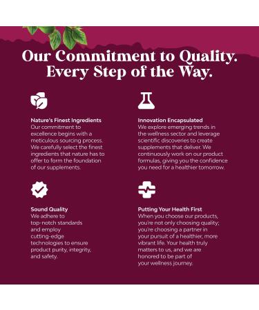 ACV Apple Cider Vinegar Gummies - Natural Energy Supplement ACV Gummy with Mother B12 Vitamin, B6 & Pomegranate for Body Cleanse Immune Support and Gut Health - Apple Cider Vinegar with The Mother - Buy Online on GoSupps.com