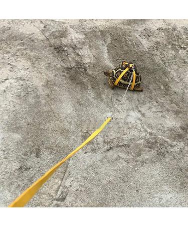 Pet Tortoise Turtle Leather Harness Strap Chest Collar Walking Lead Control Rope (S Blue) S Blue - Buy Online on GoSupps.com