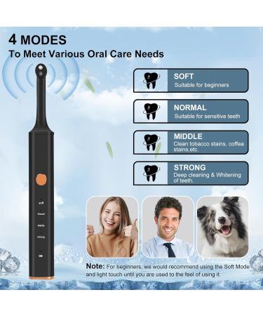 Premium Tooth Whitening Set - Effective Tartar Remover & Teeth Polisher for Bright Clean Smiles | WBBRBBRBBR - Buy Online on GoSupps.com