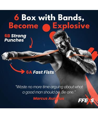 FX FFEXS Pull Up Assistance Bands Set - Elastic Resistance Bands for Men & Women - 5 Band Blue Set for Fitness & Stretching Workouts - Buy Online on GoSupps.com