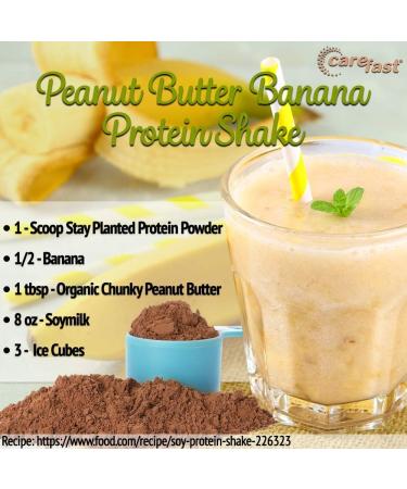 Carefast Stay Planted Vanilla Flavored Plant-Based Protein Powder - 2lb Tub | Non-GMO Soy, 13g Protein | Low Carb Vegan Shakes - Buy Online on GoSupps.com